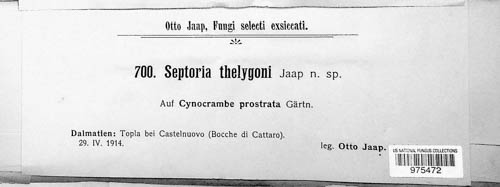 Septoria thelygoni image